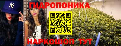 ALPHA PVP Кингисепп