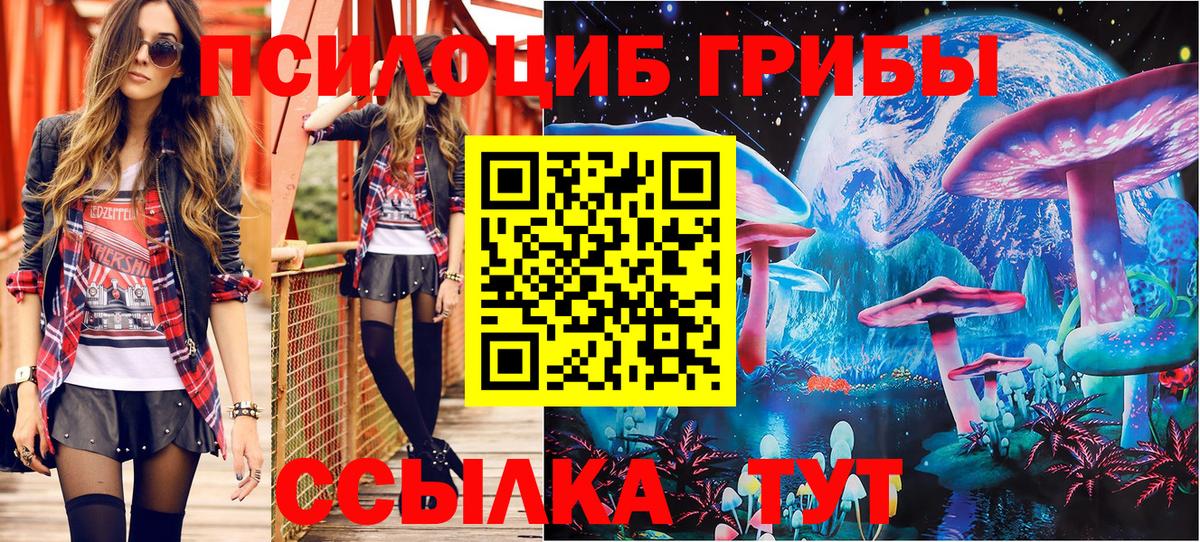 Галлюциногенные грибы Psilocybe Чита