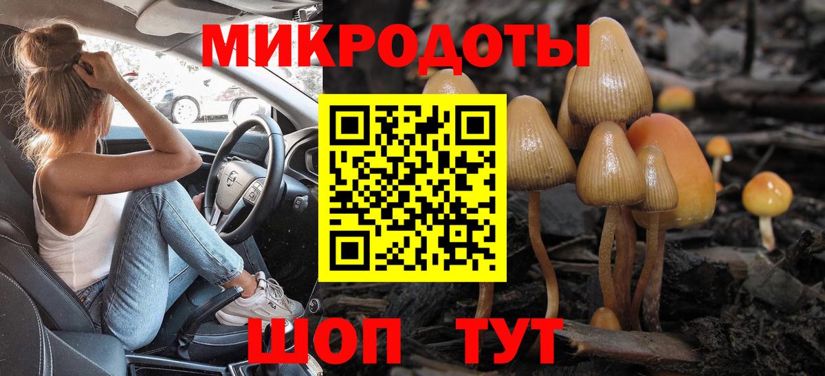 Чита  Псилоцибиновые грибы мухоморы  Вход с VPN  Псилоцибиновые грибы Cubensis 